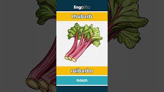 🇬🇧🇵🇹 rhubarb  ruibarbo  vocabulary builder  learn English  vamos aprender inglês [upl. by Bello]