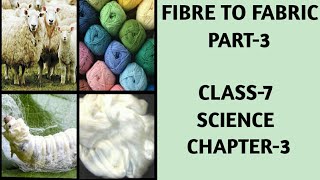 Fibre to Fabric Class 7 Science NCERT Chapter 3 Part3 [upl. by Anabahs]