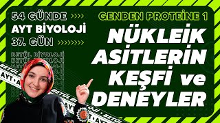 37 Nükleik Asitlerin Keşfi ve Deneyler  Genden Proteine  12 Sınıf Biyoloji AYT Biyoloji 37 Gün [upl. by Sonya670]