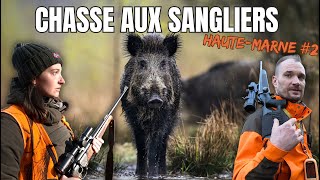 Chasse aux sangliers en Haute Marne Épisode 2 4K [upl. by Moule]