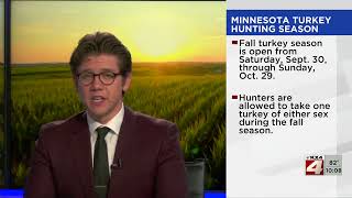 Minnesota’s fall turkey hunting season kicks off [upl. by Pernick537]