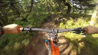 Crazy Dad  Family Bike Park Zieleniec [upl. by Wendin]