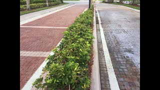 Restaining Redyeing Faded Pavers Pembroke Pines Miramar Weston [upl. by Ahseekal]