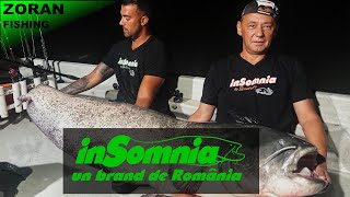 inSomnia  un brand de Romania [upl. by Giwdul]