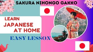 Learn Japanese at HomeComplete Guide to Hiragana Katakana amp JLPT easily [upl. by Telfer]