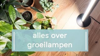 Dit moet je weten over groeilampen voor je planten [upl. by Leirol]