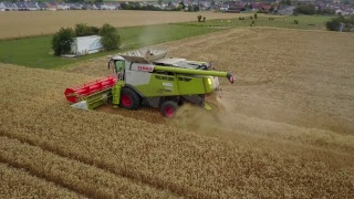 Reality Farming Battage blé Drone [upl. by Gish]