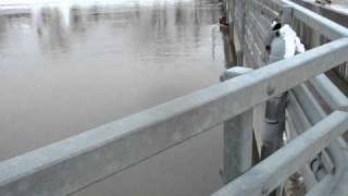 Water moving on the Quappelle River in Lumsden [upl. by Garber125]