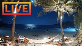 🔴 Beach Live Stream · House of Sanskara · Tuktoyaktuk Canada [upl. by Nitsuga10]