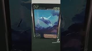 SCP1608 is a Balaenoptera musculus or blue whale scpfundation scp mrcartoon cards scptcg [upl. by Rimas218]