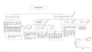Video 5  Điều trị bệnh lý basedow Graves disease [upl. by Rochus]