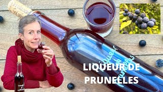 Liqueur de prunelles [upl. by Shanleigh409]