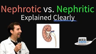 Nephrotic Syndrome vs Nephritic Syndrome Explained Nephritic vs Nephrotic [upl. by Hogarth]