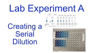 Experiment A Serial Dilution [upl. by Aleacem]