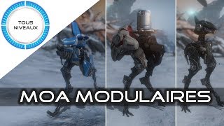 Les MOA Modulaires  Warframe FR [upl. by Aneeuqal]