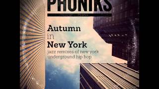 Mos Def  Travellin Man Phoniks Remix [upl. by Haslam177]