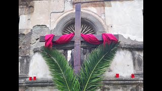 Pasqua 2024 a Forio La Benedizione delle Palme dal Torrione alla Basilica di S Maria di Loreto [upl. by Einnahc330]