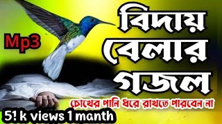 বিদায় বেলায় মোরে দিওগো দেখা হে প্রিয় রাসূল lyrics  biday belay more diogo dekha he priyo rasul [upl. by Iman]