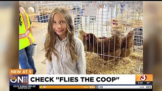 10yearold chicken farmer battles Chase bank for her money [upl. by Martguerita]