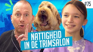 Liza geeft hond Freddie te gek kapsel in HONDENTRIMSALON [upl. by Hallimaj]