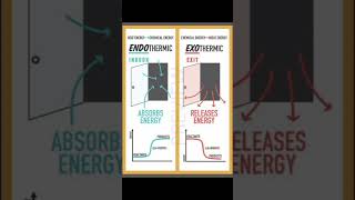 Endothermic and Exothermic Reaction Explained Shiksha Resources shorts jee2025 chemistry [upl. by Aramen]