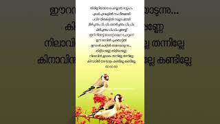 Kilippenne lyrics ❤️ ദോസ്ത് yesudas lyrics malayalamlyrical shortsfeed [upl. by Enier]