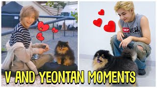 BTS V And His Dog Yeontan Cute Moments Feat Rocky [upl. by Efthim]