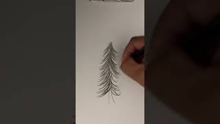 Would you like to draw a pine tree easily [upl. by Nibot324]