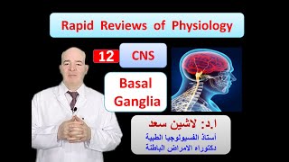 Physiology ReviewsCNSBasal ganglia [upl. by Brace967]