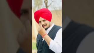 pbx1 song❤️Sidhu Moose wala vlog [upl. by Pirzada]