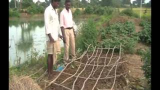 Nursery bed preparation in onion cultivation Odia PRADAN Jharkhand [upl. by Neehsas526]