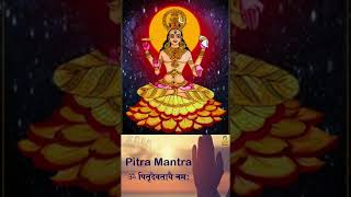 Om Pitra Devtaye Namah  Powerful Pitra Mantra matabhajans pitradev youtubeshorts pitrumantra [upl. by Leblanc]