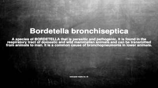 Medical vocabulary What does Bordetella bronchiseptica mean [upl. by Thorwald158]