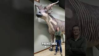 Prehistoric Animals That Still Live On Earth PART 2 [upl. by Sosthena561]