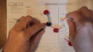 Hydrolysis reactions  esters and amides [upl. by Plossl40]