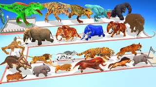 Which Animals vs Dinosaurs vs Mammoth Elephant Speed Race Run Zigzag Down Course from Outside ARBS [upl. by Isadore]