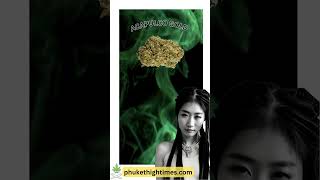 🌟 Unveiling the Legendary Acapulco Gold Strain  Educational Video 🌿🔥 [upl. by Papagena]