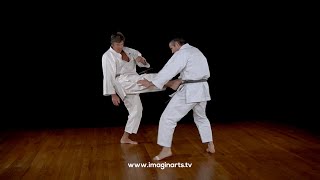 Mawashi Geri contre en Mae Geri  Karate [upl. by Abbottson602]