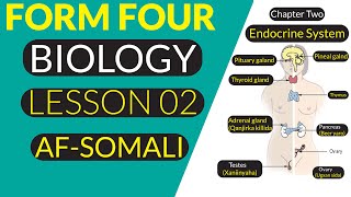 FORM FOUR  BIOLOGY  HORMONES  AFSOMALI [upl. by Winna]