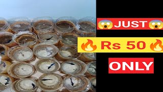 betta fish for sale 😱🔥 just rs 50 🔥 😱 [upl. by Latham]