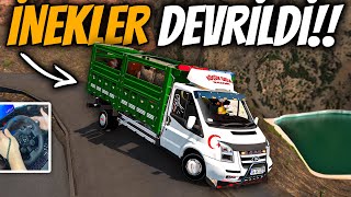 FORD TRANSÄ°T KAMYONET  ZORLU YOLLARDA Ä°NEK TAÅIYORUZ   ETS 2 FORD TRANSÄ°T MOD [upl. by Bello]