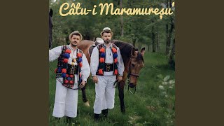 CâtuI Maramureșu [upl. by Pinebrook788]