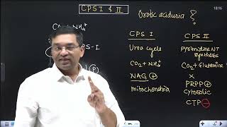 Link between Urea cycle and Pyrimidine NT synthesis  CPS 1 and 2 Orotic aciduria in Type 2 UCD [upl. by Hendel]