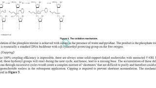 Oligonucleotide synthesis URDU [upl. by Shalna]