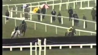 Desert Orchid 1989 Cheltenham Gold Cup [upl. by Derraj]