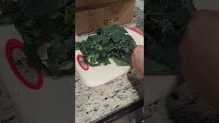 Kale Harvest amp Preservation How to Freeze Your Greens for LongTerm Storage [upl. by Behn]