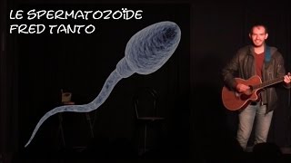 LE SPERMATOZOIDE Live  FRED TANTO [upl. by Burwell]