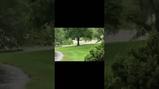 Nashville dam failure Lloyd Karmejer shared video of the flood in Nashville Illinois [upl. by Carder]