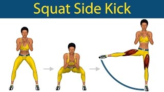 Perfect Legs Series Squat side kick [upl. by Ttevi]