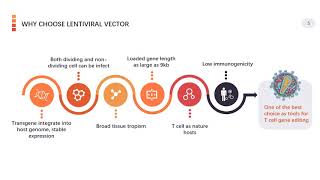 Viral based gene delivery system for CAR T cell engineering  Creative Biolabs Updated Version [upl. by Nilram]